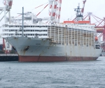 live export ship